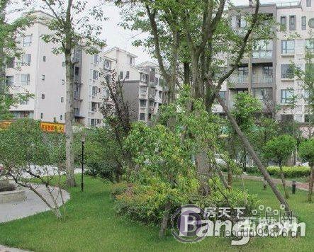 沙西明珠(郫县-郫筒) 普通住宅 毛坯房