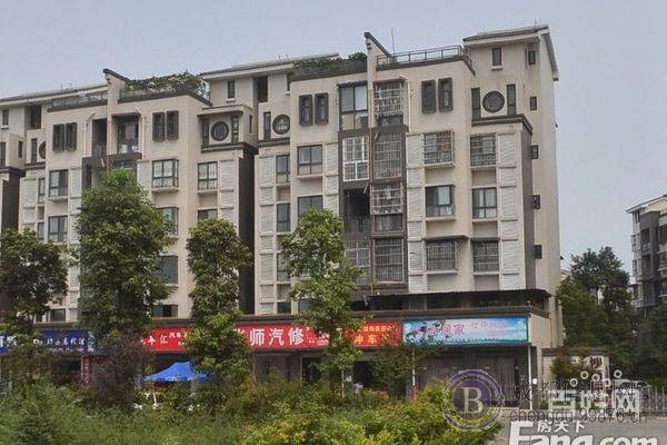 沙西明珠(郫县-郫筒) 普通住宅 毛坯房